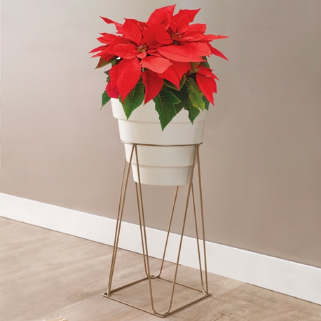 Base Porta Macetas Geométrica con Maceta plástica blanca de 20 cm de diámetro - Imagen 5