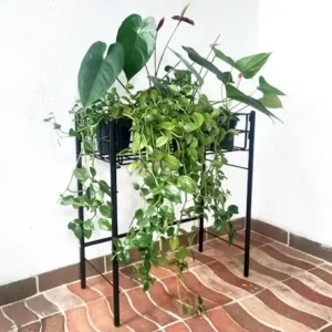 El Mueble jardinero 1 nivel de Rejiplas, es un práctico organizador que posee un amplio espacio para ordenar tus artículos/plantas manteniéndolos alejados del suelo y evitando la humedad en exceso
