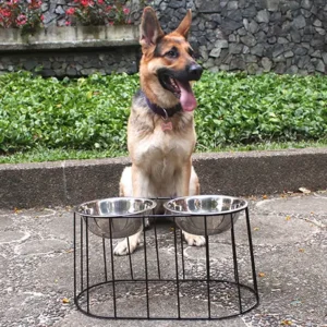 El Comedero Ovalado Grande de Rejiplas está diseñado para brindar mayor comodidad y bienestar a mascotas de raza grande durante la hora de la comida.