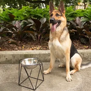 El Comedero geométrico grande de Rejiplas, está diseñado para que tu mascota de raza grande, tenga una mejor postura, comodidad y deglución a la hora de comer.